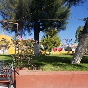 Meet your Posher, Rigo